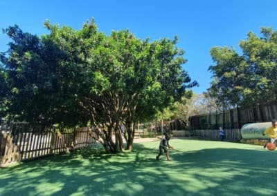A child playing under the big shady tree on the green play lawn