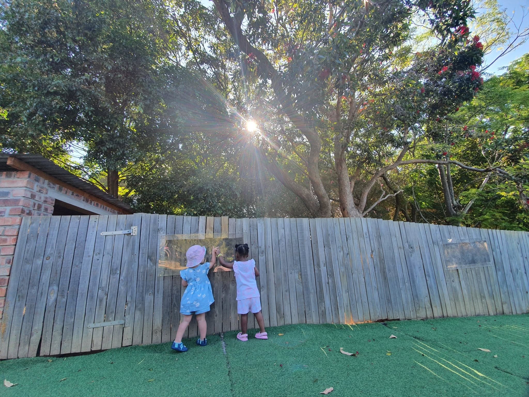 Two children peering through a window in the wooden fence into the sunlit garden