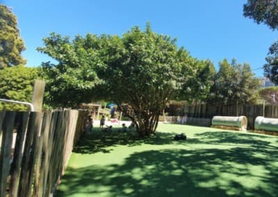 The leafy outdoor play space with its large central tree